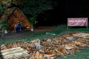 Casa Ancestral na AldeiaCOP em Belém - Foto Bruno Peres