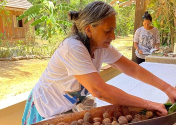 FOTO: Divulgação / Secretaria de Cultura e Economia Criativa