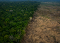 Brasil reduz desmatamento em todos os biomas e reforça meta de zerar perdas florestais até 2030
