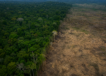 Brasil reduz desmatamento em todos os biomas e reforça meta de zerar perdas florestais até 2030